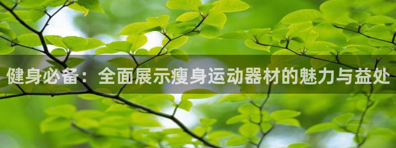 哈哈体育娱乐是那个系列的台子:健身必备:全面展示瘦身运动器材