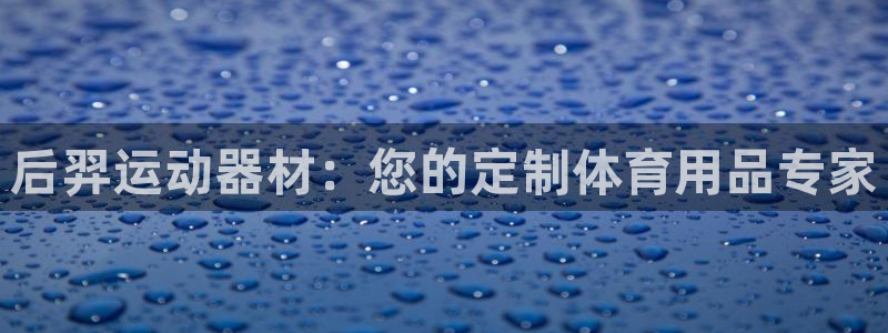 哈哈体育注册:后羿运动器材:您的定制体育用品专家
