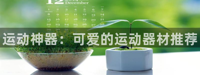 哈哈体育平台注册要钱吗:运动神器:可爱的运动器材推荐